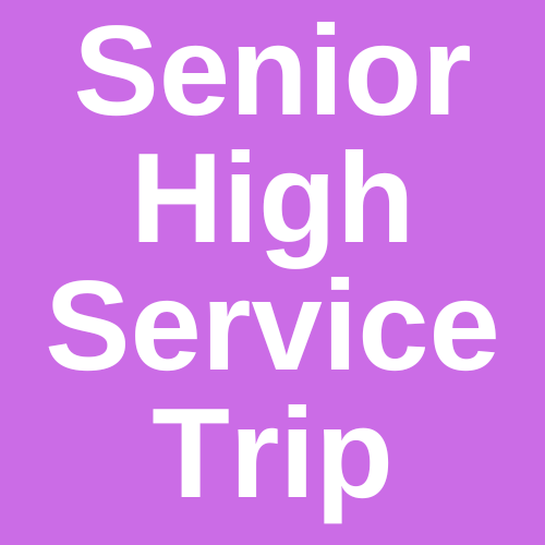 Senior High Service Trip